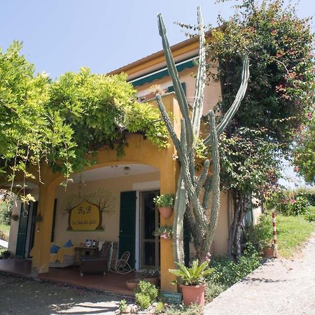 B&B La Casa Dei Gelsi Loano Bagian luar foto